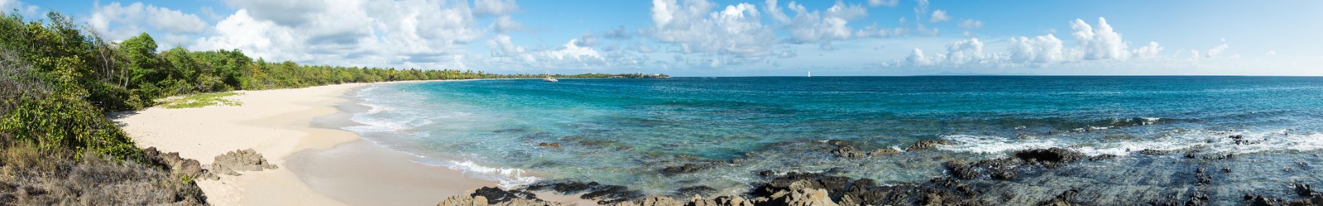 La Grande Anse des Salines en Martinique